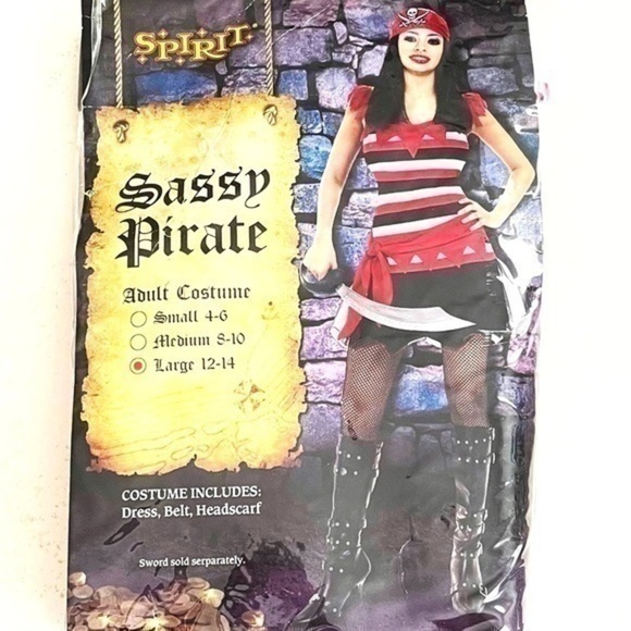 5 for $25!   Sassy Pirate Costume! - Picture 1 of 3